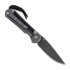 Chris Reeve Sebenza 31 sulankstomas peilis, small, macassar ebony damascus raindro S31-1122