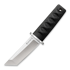 Cold Steel Kyoto I Tanto CS-17DA
