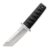 Cold Steel Kyoto I Tanto CS-17DA