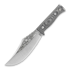 Condor Gryphus Bowie