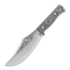 Condor Gryphus Bowie