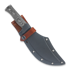 Condor Gryphus Bowie