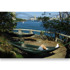 DD Hammocks Camping Hammock, 綠色