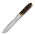 Fällkniven Gentlemans Pocket Knife - Lam. CoS - Stag FNGPS