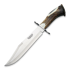 Joker - Bowie 25, Stag