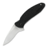 Coltello pieghevole Kershaw Scallion 1620