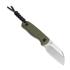 Kizer Cutlery Drop Bear Fixed AEB-L, Olive Green G-10