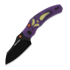 Kizer Cutlery - Mini Bulldog 2026 Halloween Special, Black PVD Nitro-V, GID G-10 & Acrylic