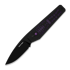 Kizer Cutlery - Tomb 2026 Halloween Special, Black PVD Nitro-V, GID G-10