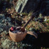 Kupilka Spork 205 KALEVALA, original