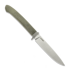 Faca Lionsteel Ago - Green Сanvas micarta AG01CVG
