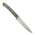 Faca Lionsteel Ago - Green Сanvas micarta AG01CVG