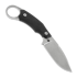Lionsteel H2 Drop Point knife, black G10 H2GBK