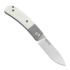 Maxace Beetle-S Bone sulankstomas peilis