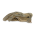 Mechanix M-Pact taktinės pirštinės, coyote