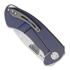 Medford Theseus Framelock folding knife