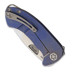 Medford Theseus Framelock Blue folding knife