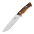 Modestas Skirmantas Shark 刀, desert ironwood