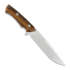 Modestas Skirmantas Shark kniv, desert ironwood