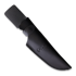 Ontario Black Bird ML5 7502