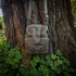 Prometheus Design Werx Canteen Pouch - Universal Field Gray