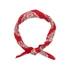 Prometheus Design Werx DRB v1 Bandana