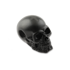 RaidOps - Skull Ghost Rider
