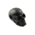 RaidOps Skull Ghost Rider