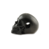 RaidOps Skull Ghost Rider