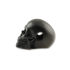 RaidOps Skull Ghost Rider