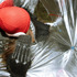 Палатка Retki Emergency tent