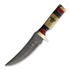 Rough Ryder Damascus Skinner