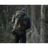 Savotta Jääkäri M (22-30L) バックパック