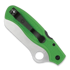 Spyderco Atlantic Salt LC200N 折叠刀, spyderedge, 綠色 C89FSGR