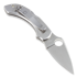 Spyderco Dragonfly sulankstomas peilis C28P