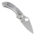 Coltello pieghevole Spyderco Dragonfly C28P