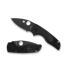 Spyderco - Lil Native, Black FRN, Black DLC