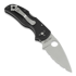 Coltello pieghevole Spyderco Native 5, spyderedge C41SBK5