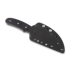 Spyderco Reverse veitsi FB34GP