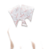 The Heat Company Handwarmers