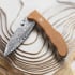 Victorinox Evoke Wood Damast LE 2026 folding knife