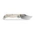 Vosteed Naga - Satin - Bamboo Micarta sulankstomas peilis, Ivory Drift