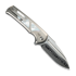 We Knife Sylox Damasteel, Polished BB Ti/Mother Of Pearl WE24027-DS1