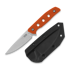 Za Pas Ambro, Orange G-10