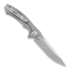 Zero Tolerance 0450 folding knife