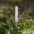 Zyac Knives Ezsharp sulankstomas peilis