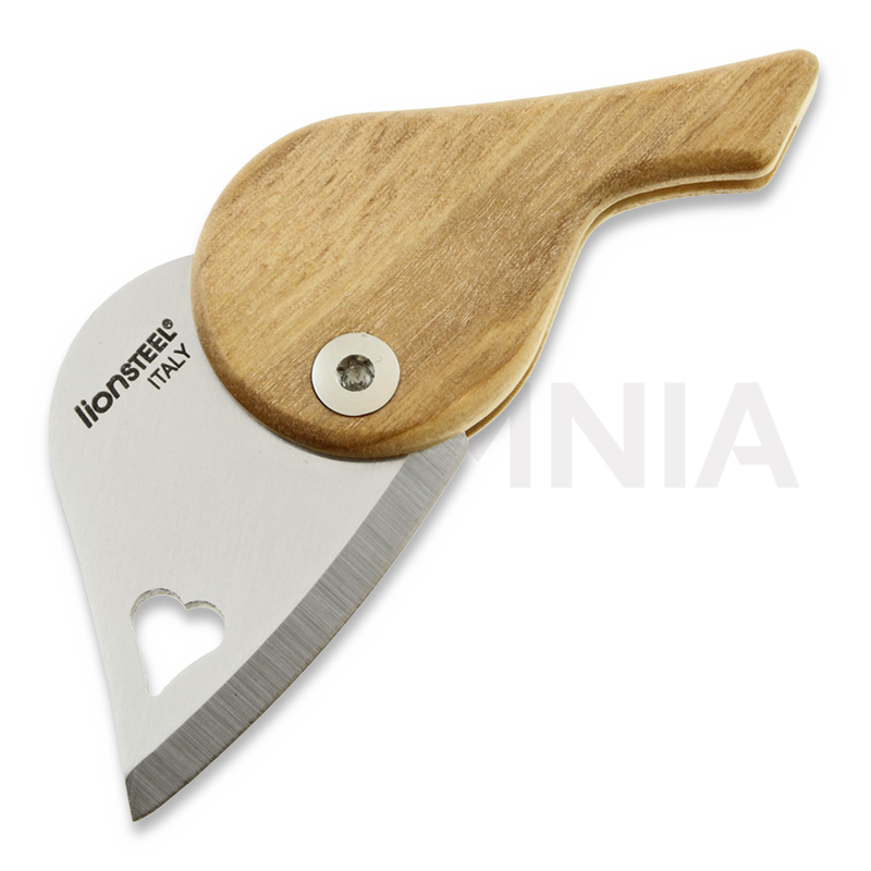 Interfaccia della Lionbet app con dashboard intuitiva